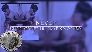 831Senatra ft lil kimye x woahboi - Never (Audio)