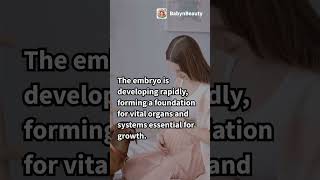 "What to Expect in the Third Week of Pregnancy: Key Insights and Tips" #baby #mom #short #ytshorts