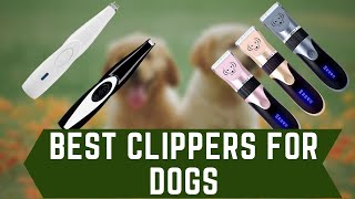 Best Clippers for Dogs - Aliexpress Top 5 Clippers for Pets Reviews