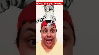 NÃO ATIRE O PAU NO GATO #shorts #short #cantigasinfantis #cantigas #cantiga #cantigasderoda