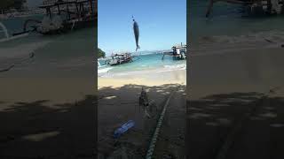 Ikan Banyak Banget Strike Di Pantai Pelabuhan Padang Bay, Karangasem, Bali.