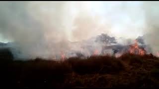 Incendio forestal consumió 30 hectáreas de fincas en Ponedera, Atlántico