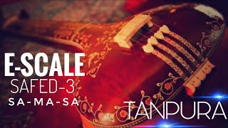 #RIYAZ WITH TANPURA  |  E - Scale ( SAFED-3 )  |   SA - MA - SA  |  EP. 17: