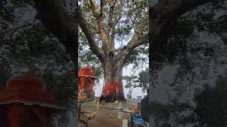 Bhitariya kund mahadev