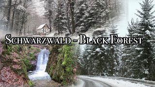 Schwarzwald / Black Forest Germany 2021