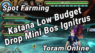 Toram Online | Katana Low Budget Vs Ignitrus | King Brother #toramonline #gamerindonesia