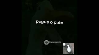 PEGUE O PATO PEGUE O PATO