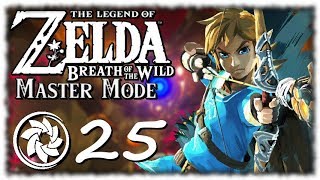 Breath of the Wild: Master Mode - PART 25 - WaterBlight Ganon