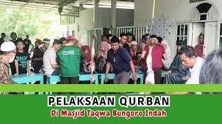 PELAKSANAAN QURBAN SAPI DAN KAMBING DI MASJID TAQWA BUNGORO INDAH KABUPAEN PANGKEP