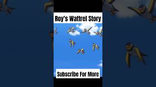 ROY'S WATTREL STORY AMV #shorts