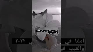 ستوريات انستا / ستوريات لو لاك لما كنا