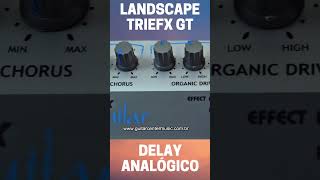 PEDAL LANDSCAPE TRIEFX GUITAR - DELAY #SHORTS