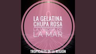 La Gelatina / Chupa Rosa / La Vibora de la Mar (Cover)