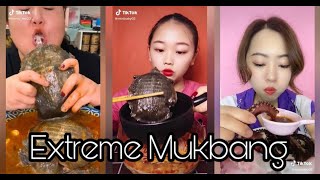 Extreme Mukbang 😱😱😱😱