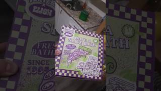 TMNT LUSH Limited Pizza Box