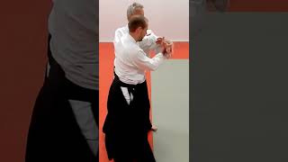 Aikido KAESHIWAZA, counter techniques, on NIKYO, by Stefan Stenudd