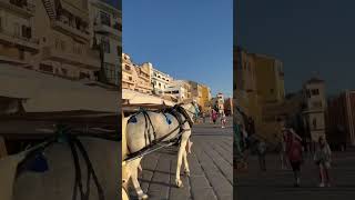 Παλιό ενετικό λιμάνι Χανίων , Chania Greece 🇬🇷 #shorts #trending #viralvideo #greece #chania