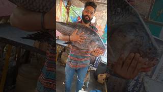 Big katla Fish Cutting Skills By ExpertFish Cutter | Amazing Fish CuttingSkills #fishcutting #fish