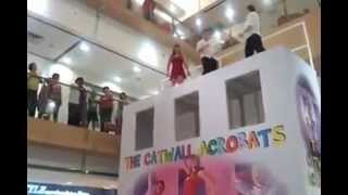 The Catwall Acrobats - Esoofi Kader videos 132