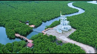 Explore Mangrove Forest Park, Kota Langsa, Nanggroe Aceh Darussalam