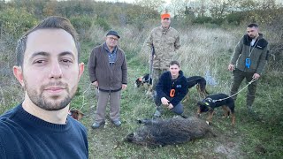 BOL DOMUZLU BOL AKSİYONLU DOMUZ AVI 🐗 || TURKEY WİLD BOAR  HUNTİNG LOTS OF ACTİON #wildboar #gopro