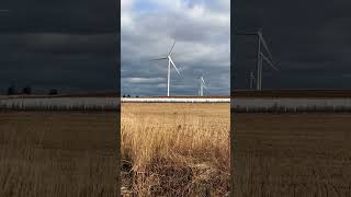 PEI windmill farm 👍🏻😊