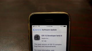 iOS 12 Beta 9 iPhone SE Review