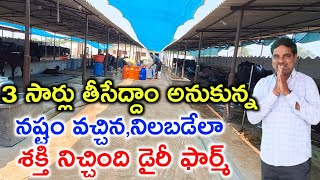 5 సంవత్సరాలు నిలబడండి Experienced Dairy Farmer @MalleshAdla