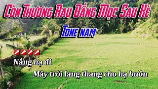 [Karaoke] Còn Thương Rau Đắng Mọc Sau Hè | Tone nam