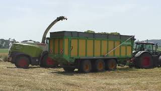 Claas Jaguar 960 mit Vorsatz  PICK UP 300 Meter Triticale Häckseln Martin Tauschmann von der IKT Bio