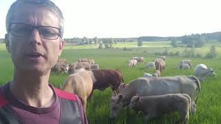 Voluntary livestock health care programmes – example of Naseva in Finland