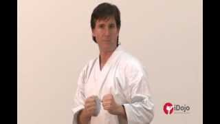 Karate - Offensive Combinations Part 1