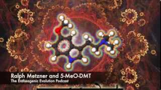 Ralph Metzner and 5 MeO DMT