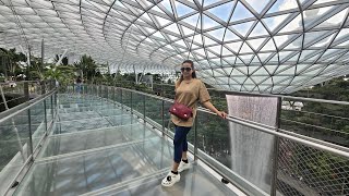 Jewel Changi   -  canopy bridge and canopy park  in Singapore Airport