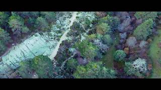 Mavic Mini The Magic Forest