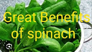 #learn about spinach as high benefits