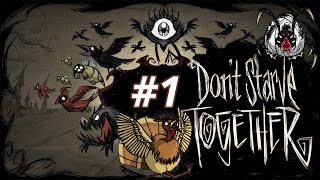 Don't Starve Together - Aventura incepe w/Puff