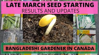 Late March Seed Starting, Part - 2 # Results And Updates # 2021 # Shokher Bagan # Canada