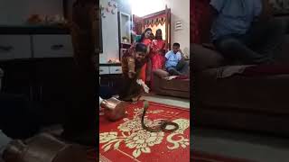 పాము కి పూజలు చేస్తున్న మహిళలు 😀 #snake #pooja