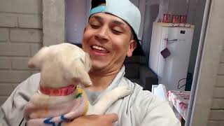 🐩 Saudade da Minha Sofia 😭