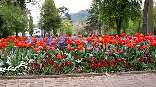 Kurpark Bad Kreuznach (Virtueller Stadtrundgang POI)