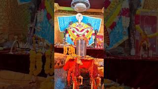 Khatu Shyam Dham Ali pur delhi #khatushyam #khatushyambhajan #delhi #viralvideo #youtubeshorts #kya