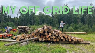 Building An Off Grid D Styled Log Cabin in Northern Maine: Preparing the Walls