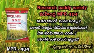 mahendra research paddy variety MPR 404 full information in telugu || mahendra mpr 404 || MPR 404