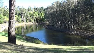 Excursión a la cima de Mt Coot-tha, ¿llegaré? Brisbane (Australia)