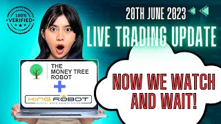 King Robot and MoneyTree - Now we just watch and wait! 20th June 2023