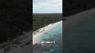 A cor dessa água mesmo estando nublado 😮😍#australia #jervisbay #shorts #shortsvideo