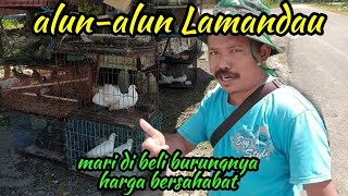 Pasar Burung Di Mobil L300 Auto beli Bos Ku