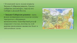 Положение на карте. Рельеф и полезные ископаемые. Лесная зона география 7 кл