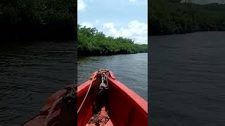 🎼🏖️Curtindo o Veraneio na Praia de Genipabu-RN(03.02)ENSEADA RESTAURANTE🍤🍻PASSEIO DE JANGADA(1)